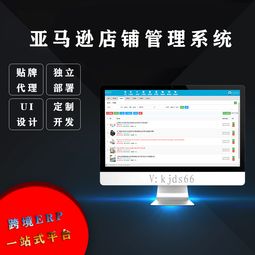 亞馬遜ERP管理系統(tǒng)在無貨源店群運營中的應用與定制開發(fā)